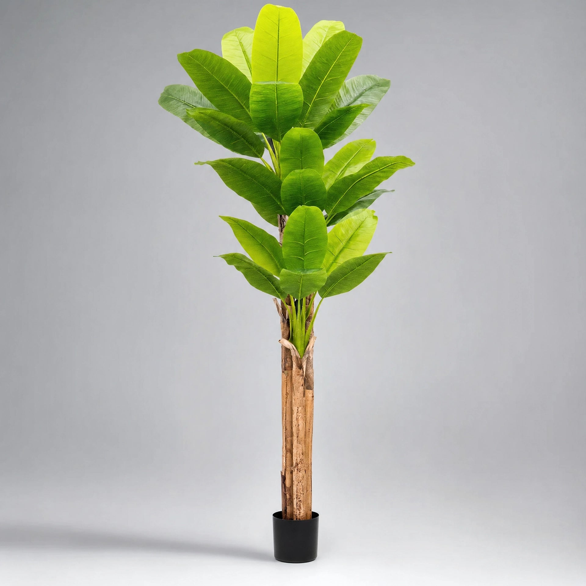 Grande plante artificielle d'intérieur vert et marron plastique