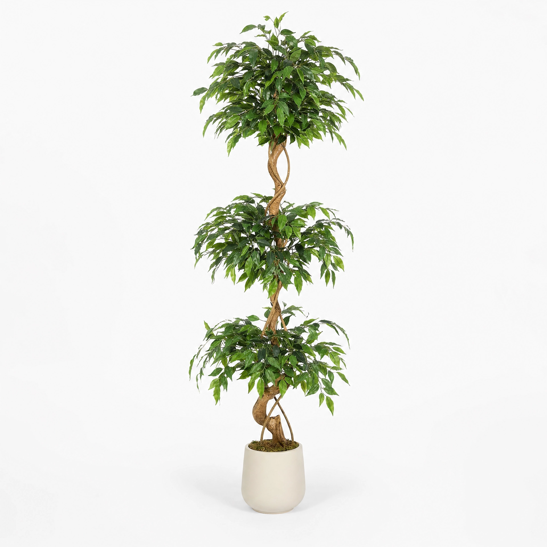 Plante verte artificielle uni vert