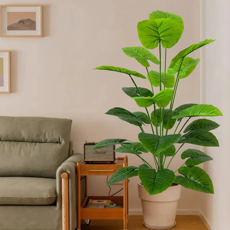 Plante exotique intérieur uni vert et noir
