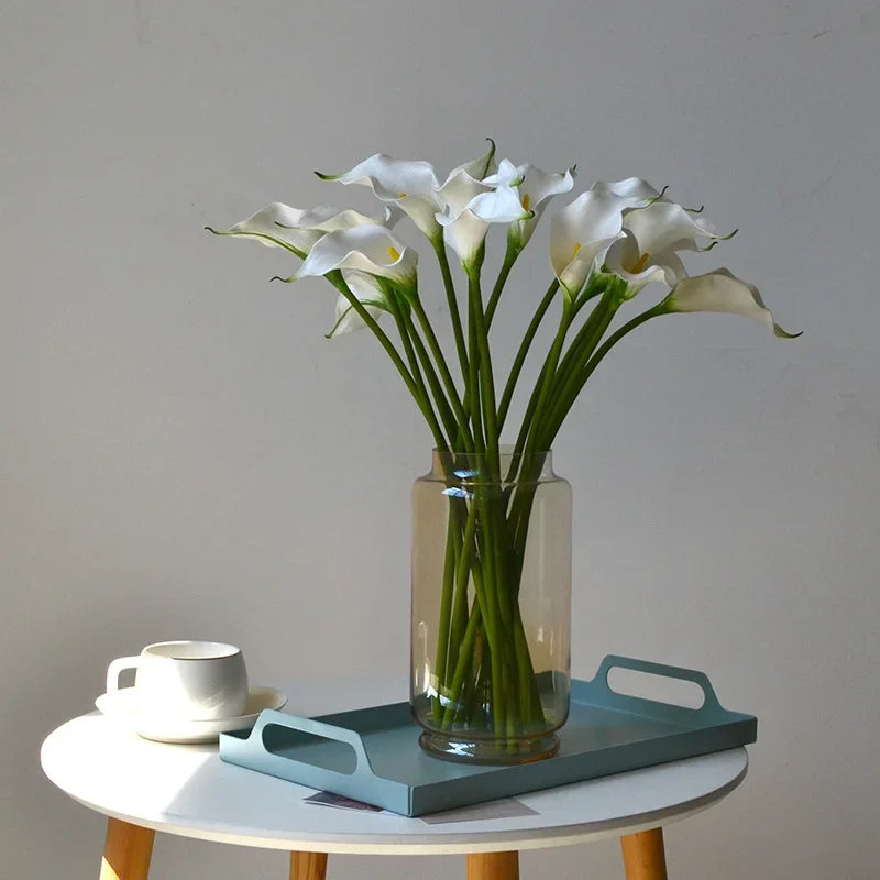 Decoration d interieur eva uni blanc et vert
