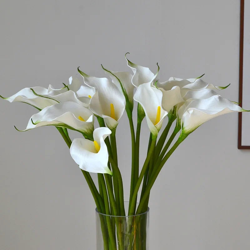 Decoration d interieur eva uni blanc et vert