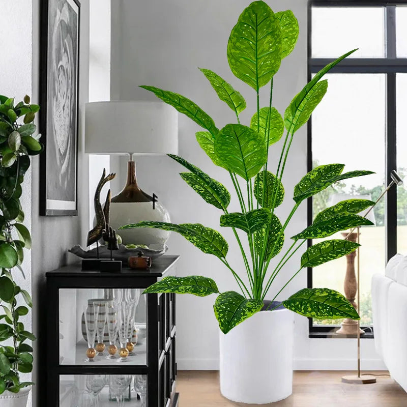Plante exotique intérieur uni vert et noir