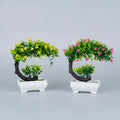 Mini bonsai de bureau déco intérieur