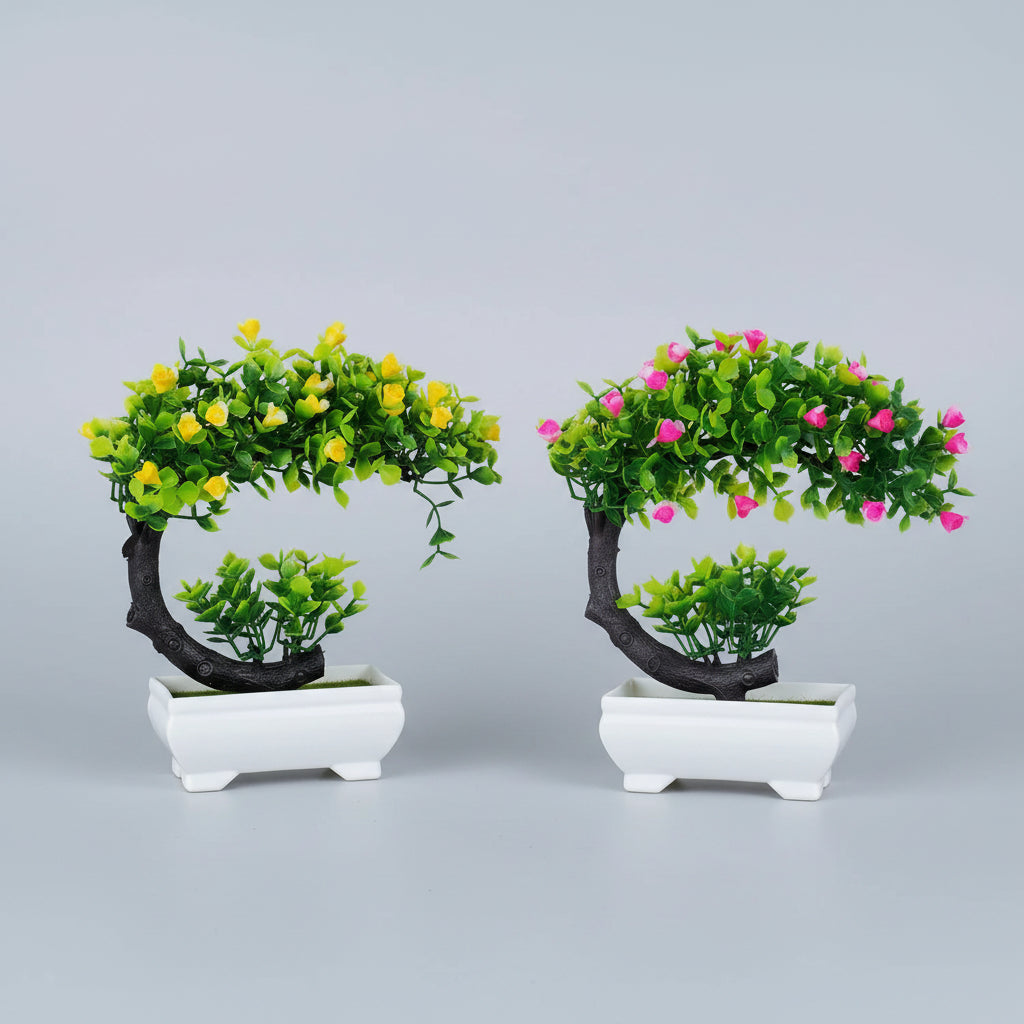 Mini bonsai de bureau déco intérieur