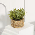 Fausse Plante Artificielle En Pot Tressé