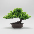 Plantes Artificielles PVC Artificiel Genévrier
