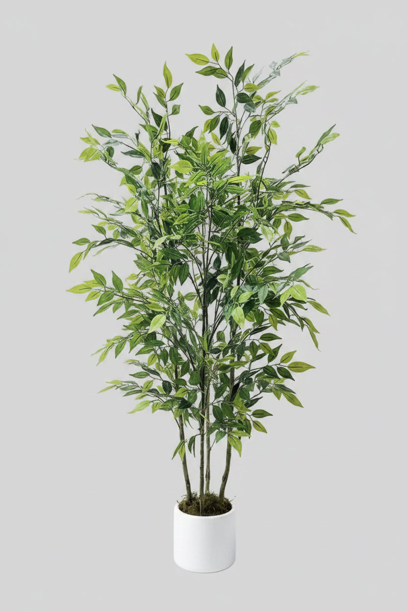 Plante artificielle ficus en soie  uni vert et blanc