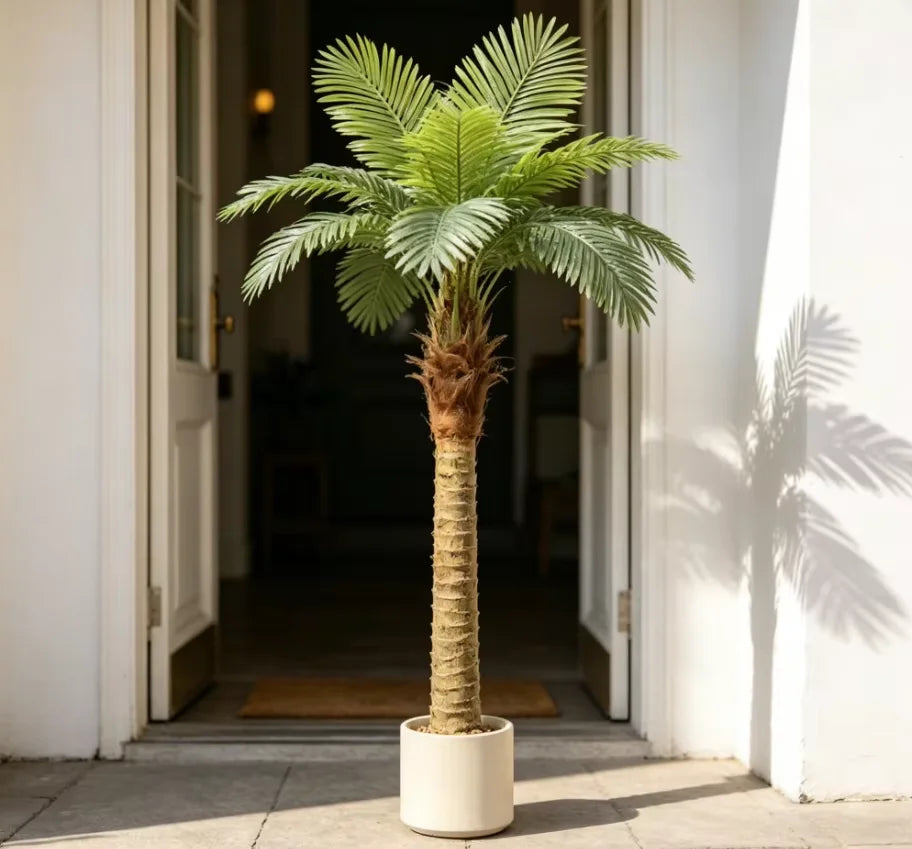 Palmiers
