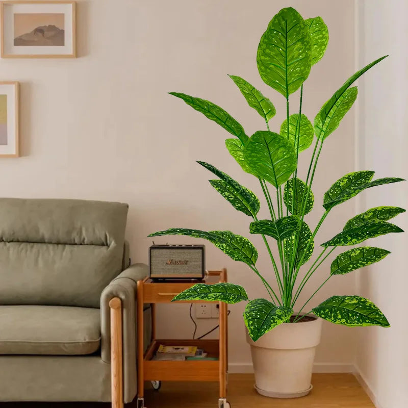 Plante exotique intérieur uni vert et noir
