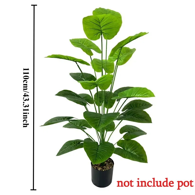 Plante exotique intérieur uni vert et noir