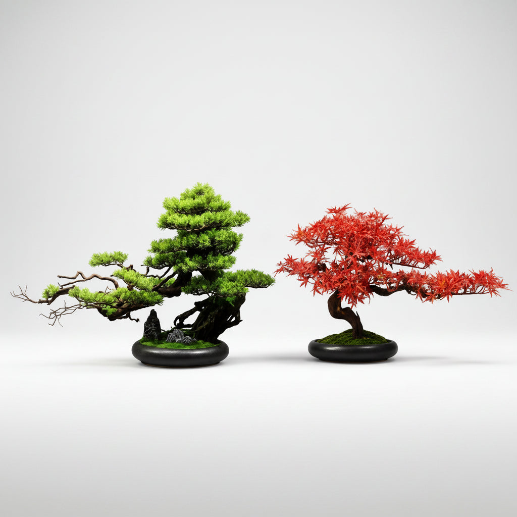 Bonsai d'intérieur