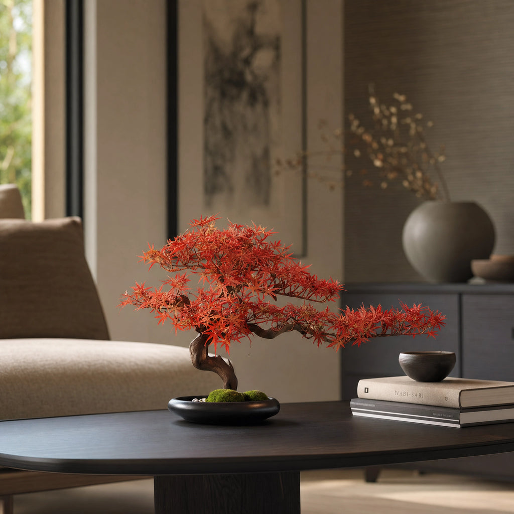 Bonsai d'intérieur