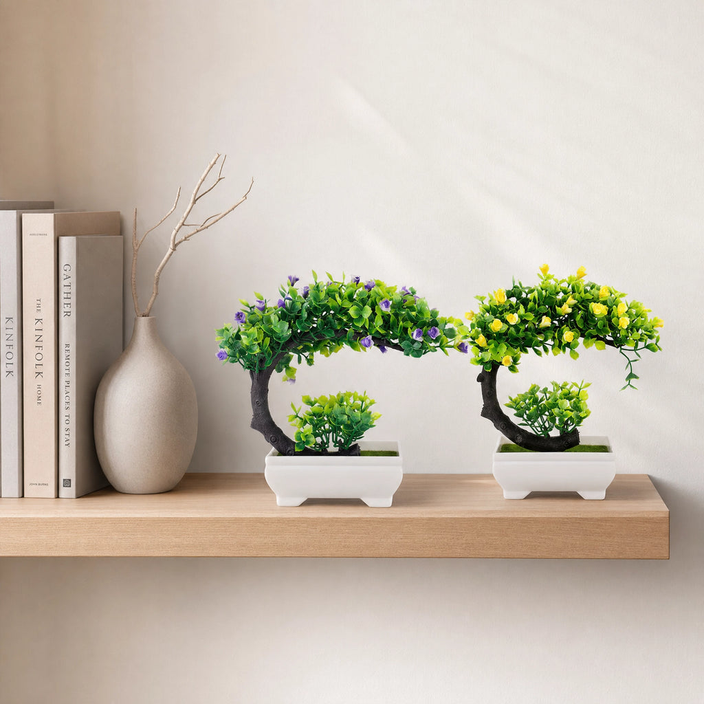 Mini bonsai de bureau déco intérieur