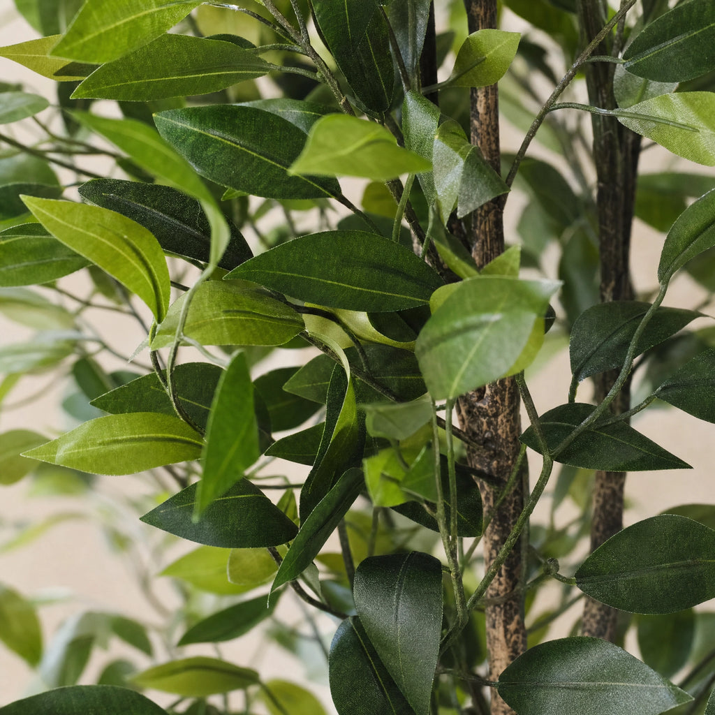 Plante artificielle ficus en soie  uni vert et blanc