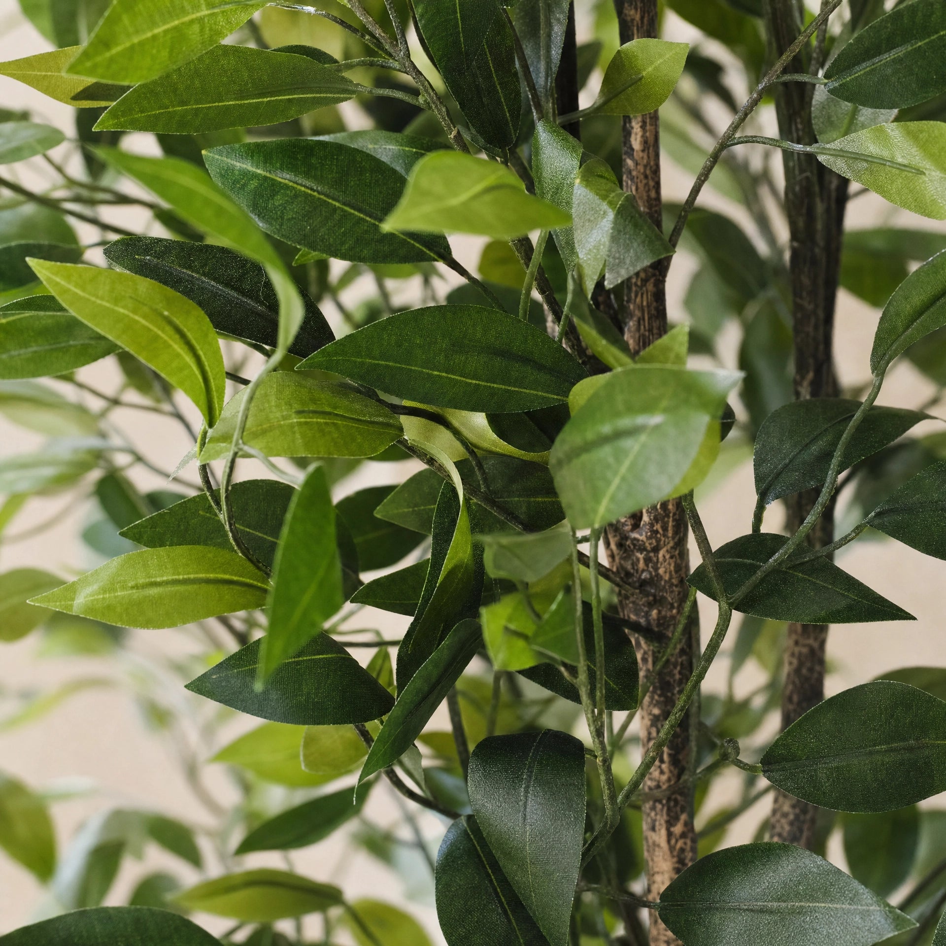 Plante artificielle ficus en soie  uni vert et blanc