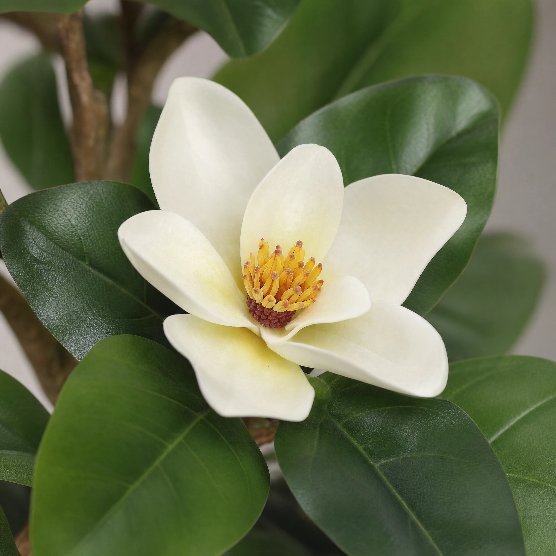 Plante artificielle arbre a caoutchouc artificiel fleurs magnolia floral vert et blanc